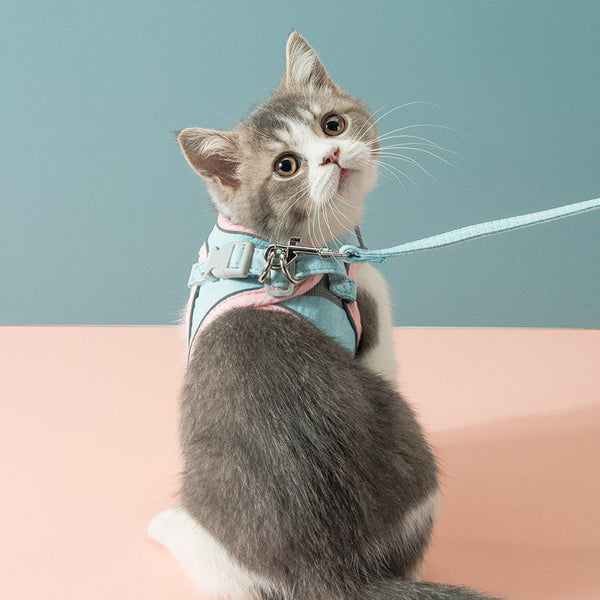 HKM-0676925 Adjustable Cat Traction Rope Chest Strap with Reflective Design for Small to Medium Pets