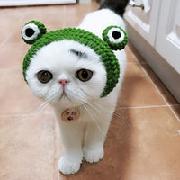 HKM-0682429 Frog Woolen Hat for Kittens and Puppies - Cartoon Cross-Dressing Headgear