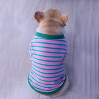 HKM-0683965 French Striped T-Shirt Sweater for Dogs in Pink Green, Yellow Blue, and Blue Yellow - Multiple Sizes Available