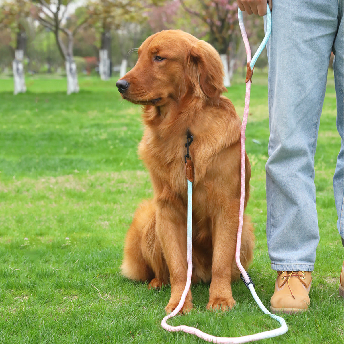 HKM-0687165 Multi-Purpose Reflective Nylon Pet Walking Rope for Dogs and Cats
