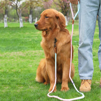 HKM-0687165 Multi-Purpose Reflective Nylon Pet Walking Rope for Dogs and Cats