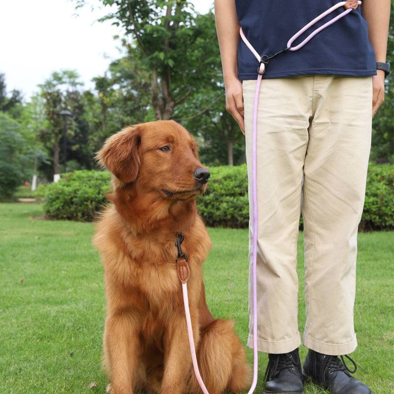 HKM-0687165 Multi-Purpose Reflective Nylon Pet Walking Rope for Dogs and Cats