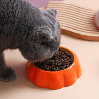 HKM-0689341 Ceramic Cat Bowl with Non-Slip Design for Water and Food ¨C Watermelon, Orange, Strawberry Patterns