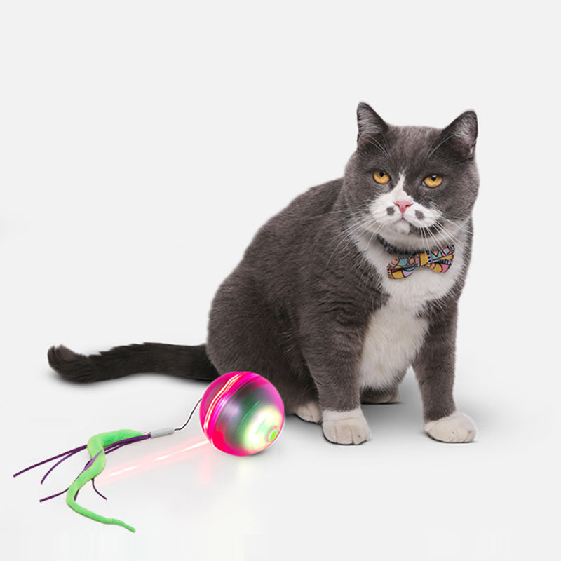 HKM-069395 Electric Dodge Laser Funny Cat Ball