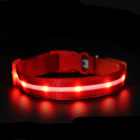 HKM-0700861 Luminous USB Charging Pet Collar - Multiple Color Options Available