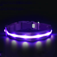 HKM-0700861 Luminous USB Charging Pet Collar - Multiple Color Options Available