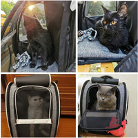 HKM-0702141 Innovative Backpack Carrier for Cats and Small Dogs - Comfortable, Breathable Design