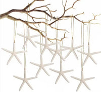 HKM-071059 20 Pack Natural Starfish Ornaments with Rope for Home and Holiday Decor