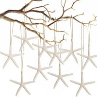 HKM-071059 20 Pack Natural Starfish Ornaments with Rope for Home and Holiday Decor