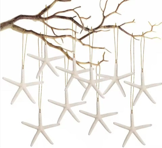 HKM-071059 20 Pack Natural Starfish Ornaments with Rope for Home and Holiday Decor
