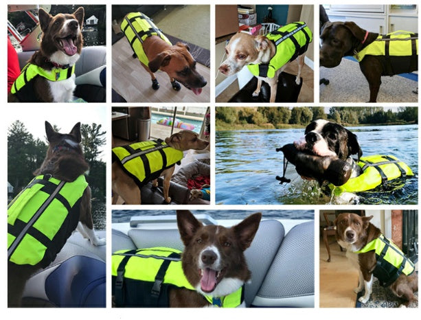HKM-0714557 Inflatable Dog Life Jacket for Swimming Pool Safety - Adjustable Pet Vest