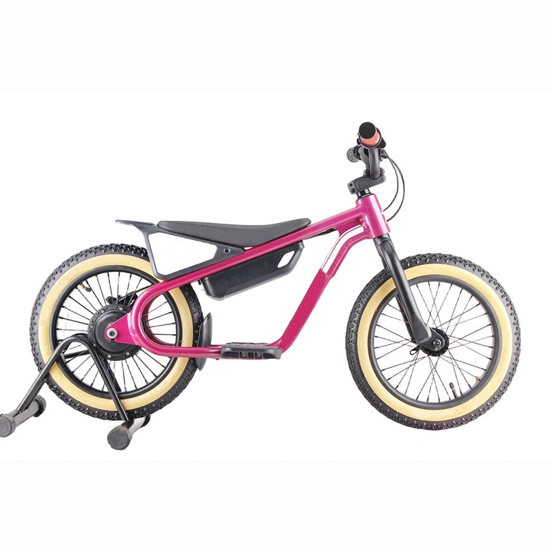 HKM-071507 16-Inch Aluminium Alloy Electric Motorcycle for Kids - High Speed Dirt Bike, Max Speed 60km/h, 36V Battery