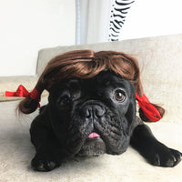 HKM-0715197 Adjustable Elastic Pet Wig for Dogs and Cats - Versatile Styling Options