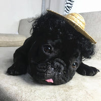 HKM-0715197 Adjustable Elastic Pet Wig for Dogs and Cats - Versatile Styling Options