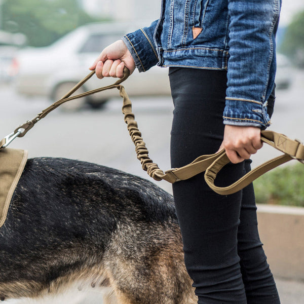 HKM-0725693 Adjustable Elastic Traction Rope for Dogs - Multiple Color Options Available, Two Lengths