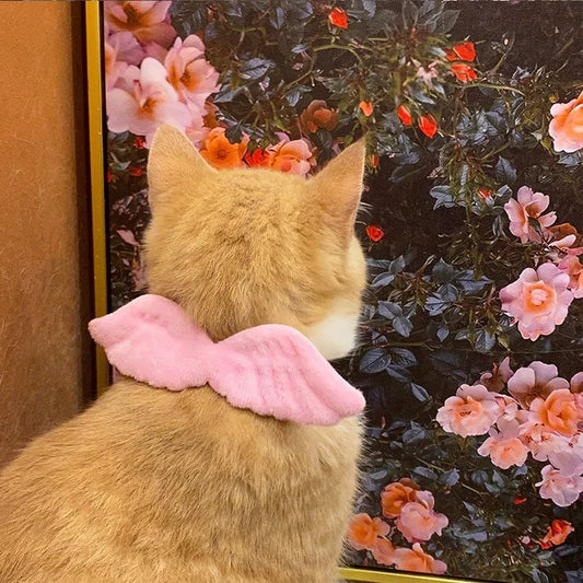 HKM-0727741 Angel Wing Pet Collar with Butterfly Tie for Cats and Small Dogs, Adjustable Neck Sizes S, M, L