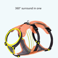 HKM-0730941 Reflective Nylon Dog Leash with Anti-Breaking Feature in Multiple Colors