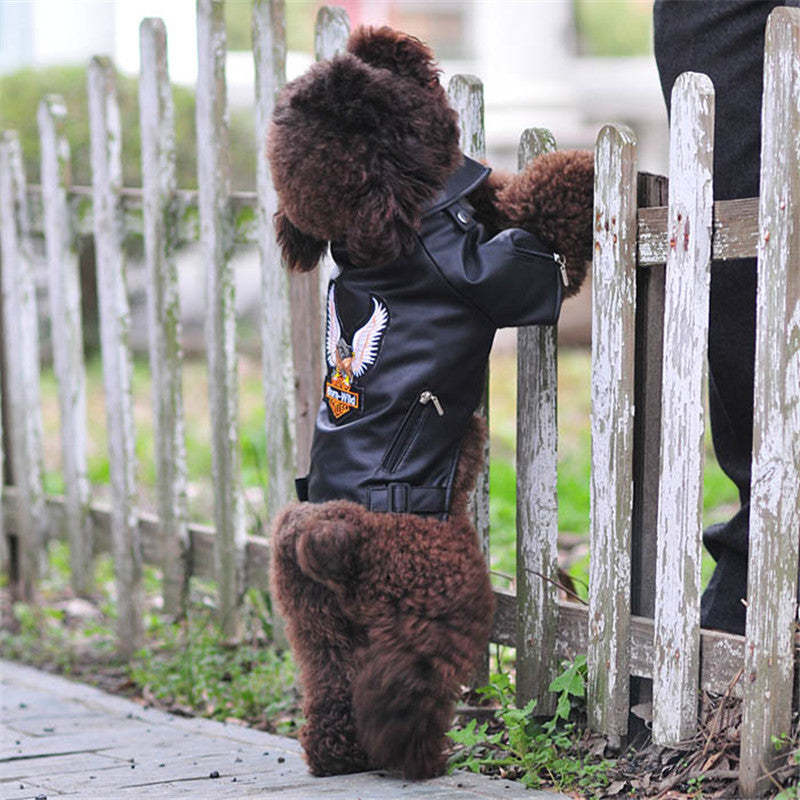 HKM-0737085 Embroidered Eagle Design Small Dog Jacket in Chocolate Black Faux Leather