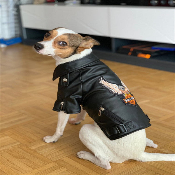 HKM-0737085 Embroidered Eagle Design Small Dog Jacket in Chocolate Black Faux Leather