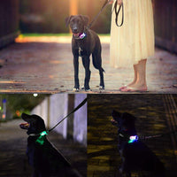HKM-0739389 Luminous Nylon Reflective Pet Collar Leash with Multi-Flash Modes