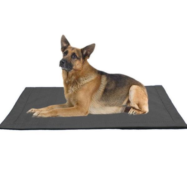 HKM-074067 Bite-Resistant Moisture-Proof Dog Mat for Large Breeds - 60x40 cm, 90x60 cm, 100x80 cm Options