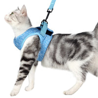 HKM-0742461 Lightweight Breathable Cat Leash and Chest Strap in Multiple Colors