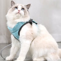 HKM-0742461 Lightweight Breathable Cat Leash and Chest Strap in Multiple Colors
