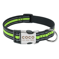 HKM-0745149 Lightweight & Comfortable Dog Lettering Collar with Golden Buckle - Adjustable Size in S/M/L