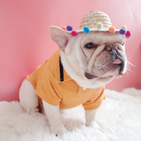 HKM-0745533 Double Braid Straw Hat for Dogs and Cats ¨C Bamboo & Rattan, Available in Yellow and Black