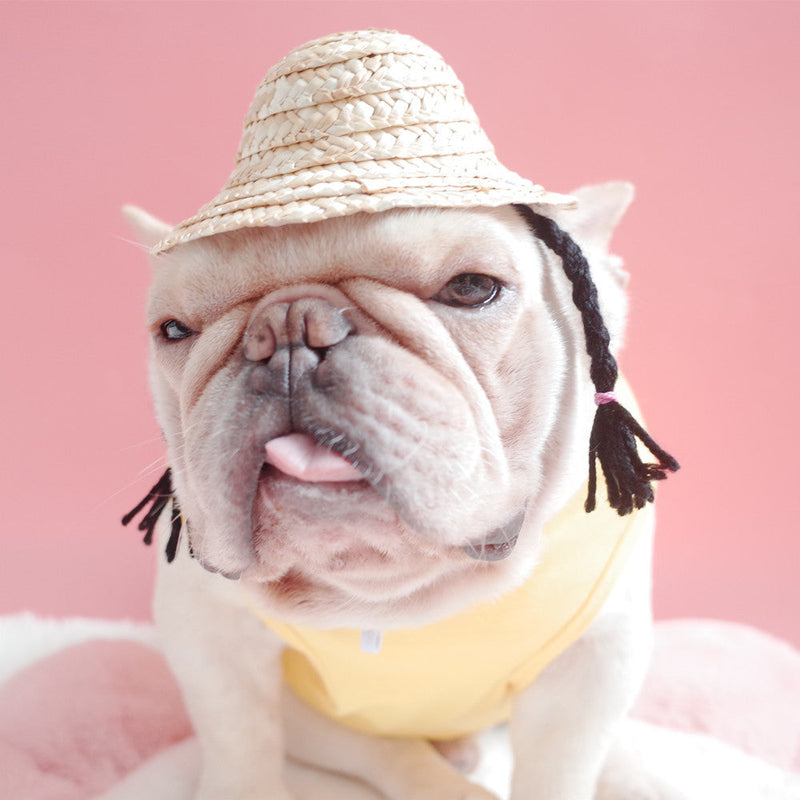 HKM-0745533 Double Braid Straw Hat for Dogs and Cats ¨C Bamboo & Rattan, Available in Yellow and Black