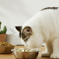 HKM-0754877 Wooden Cat and Small Dog Food Bowl - Ceramic and Stainless Steel Options Available