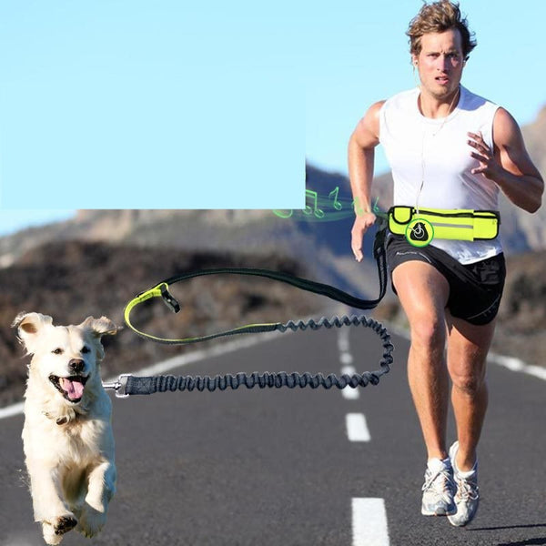 HKM-0764221 Adjustable Hands-Free Dog Running Leash with Reflective Waist Pocket and Shock Absorbing Bungee