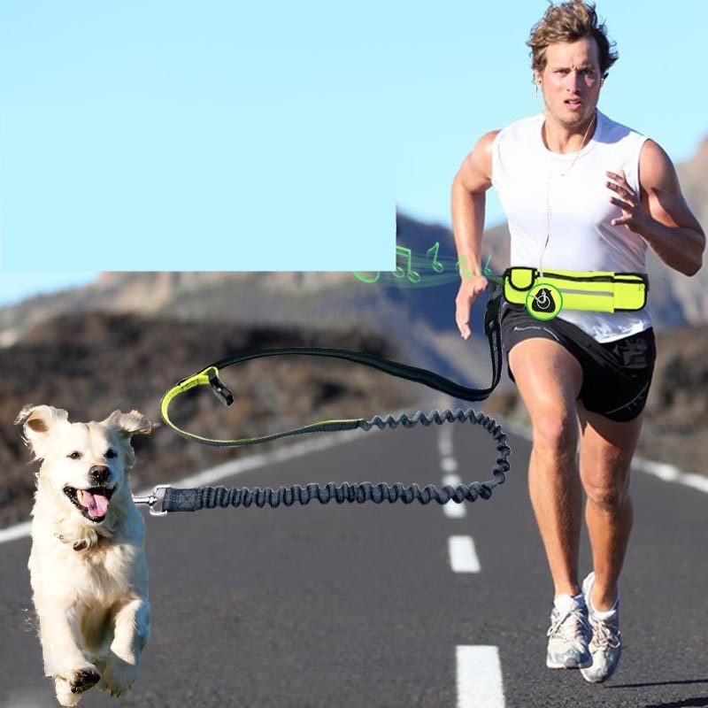 HKM-0764221 Adjustable Hands-Free Dog Running Leash with Reflective Waist Pocket and Shock Absorbing Bungee