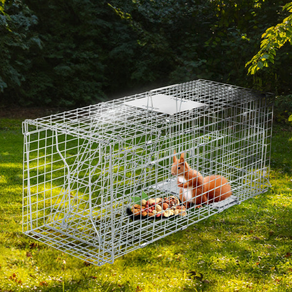 HKM-0777533 32 Inch Folding Iron Live Animal Trap for Humane Wildlife Control