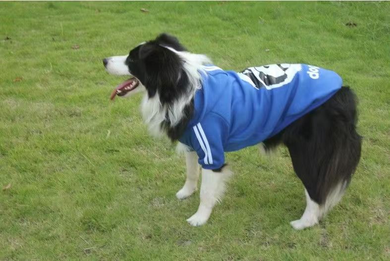 HKM-0780989 Comfortable Dog Sweatshirt in Red, Blue, and Yellow for Medium to Extra Large Breeds
