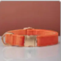 HKM-0789437 Multiple Color Velvet Dog Collar and Leash Set with Bow Tie