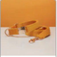 HKM-0789437 Multiple Color Velvet Dog Collar and Leash Set with Bow Tie
