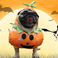 HKM-0789821 Pet 3D Pumpkin Dress for Halloween - Stylish Outfit in Beibei Pumpkin Color, Sizes S to XL
