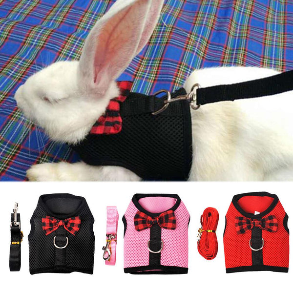 HKM-0790717 Breathable Mesh Chest Harness with Traction Rope for Rabbits ¨C Adjustable and Comfortable