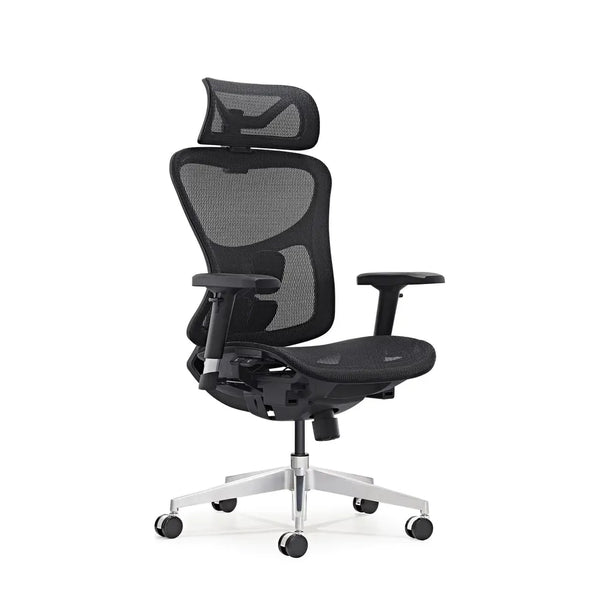 HKM-079443 Ergonomic High Back Office Chair with Adjustable Headrest and Mesh Design