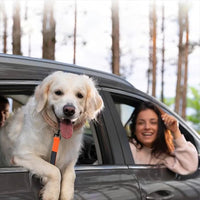 HKM-0796989 Elastic Anti-Violence Dog Training Leash for Medium and Large Dogs with 360¡ã Rotating Clip