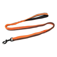 HKM-0796989 Elastic Anti-Violence Dog Training Leash for Medium and Large Dogs with 360¡ã Rotating Clip