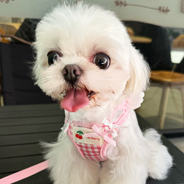 HKM-0802621 Pet Chest and Back Harness with Hand Holding Rope for Small Dogs - Cotton Material, Available in Pink and Black, Sizes XS to 2XL