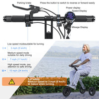 HKM-080339 Electric Tricycle Mobility Scooter with 10-Inch Tires, 250W Motor, Foldable Design, and Reverse Function