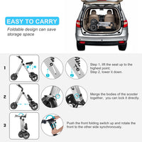 HKM-080339 Electric Tricycle Mobility Scooter with 10-Inch Tires, 250W Motor, Foldable Design, and Reverse Function