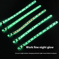 HKM-0804925 Glow-in-the-Dark Adjustable Pet Collar for Cats - Various Styles Available