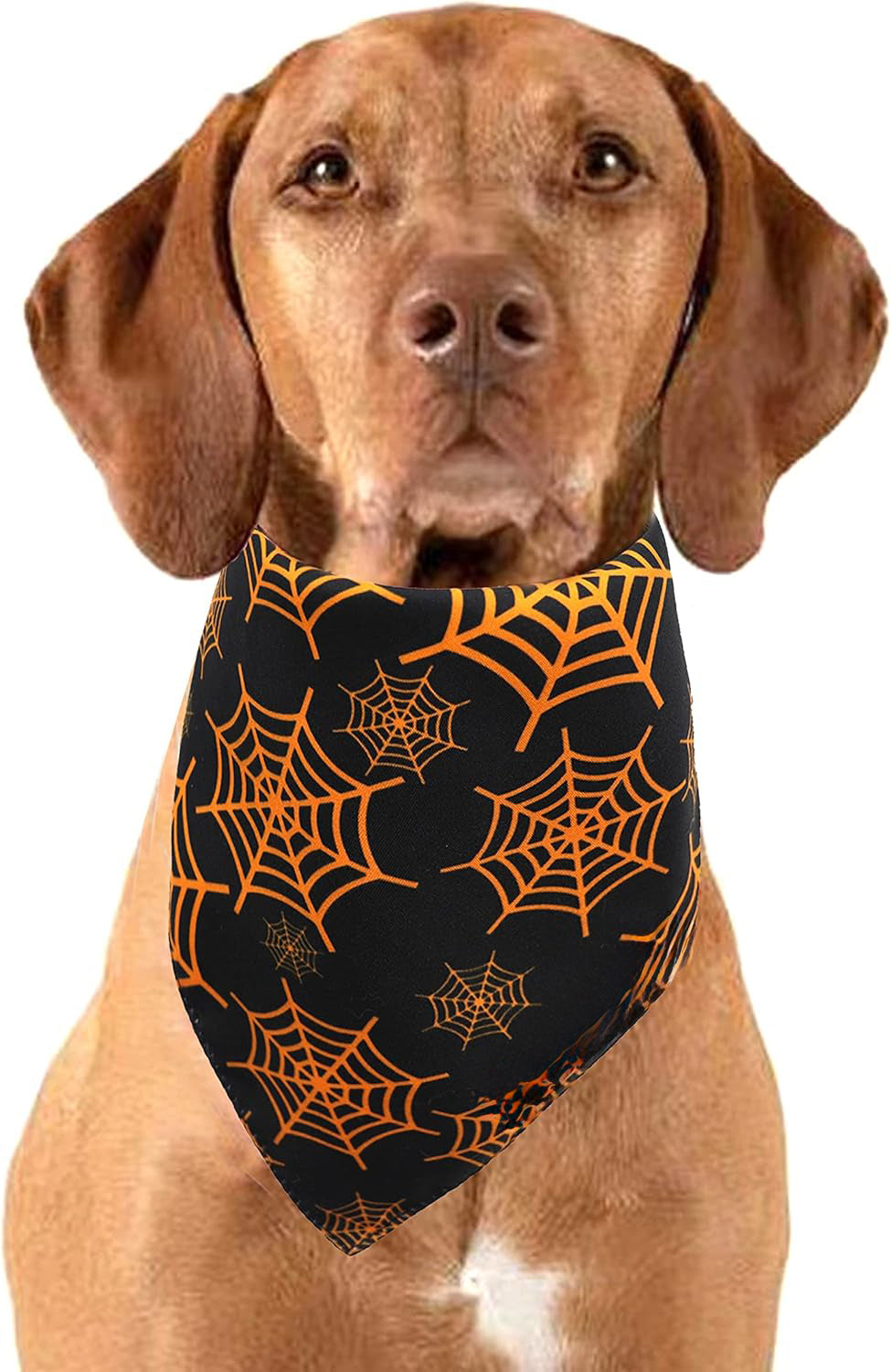 HKM-0806205 Reversible Halloween Dog Bandana with Pumpkin and Spider Web Design, Adjustable Fit for Neck Sizes up to 16 inches
