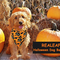 HKM-0806205 Reversible Halloween Dog Bandana with Pumpkin and Spider Web Design, Adjustable Fit for Neck Sizes up to 16 inches