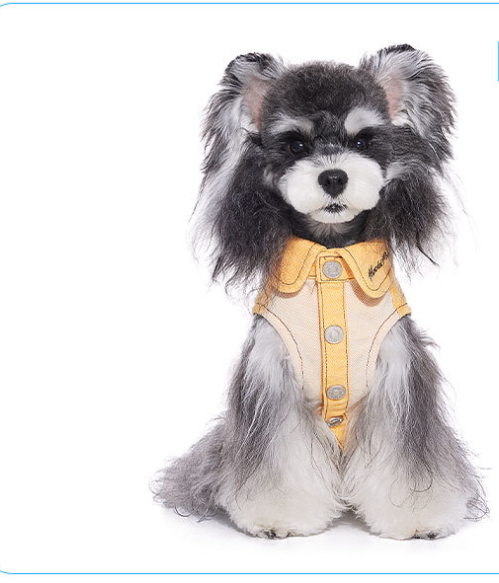 HKM-0807485 Casual Yellow Pet Clothing for Small Dogs - Bichon, Yorkshire, Schnauzer Sizes XXS to XXL