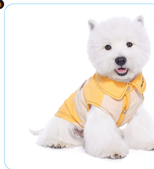 HKM-0807485 Casual Yellow Pet Clothing for Small Dogs - Bichon, Yorkshire, Schnauzer Sizes XXS to XXL